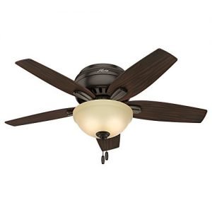 Hunter 51081 Newsome Ceiling Fan with Light 42-inch Premier Bronze