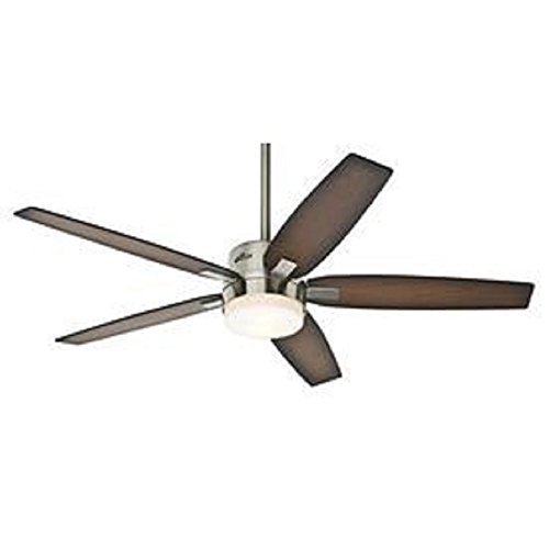 Hunter 59039 Windemere 54-inch Indoor Ceiling Fan with Light & Remote