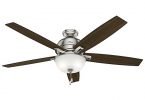 Hunter 54172 60-inch Donegan Ceiling Fan with Light