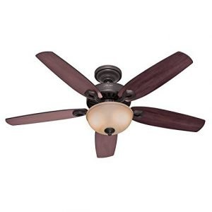 Hunter 53091 Builder Deluxe 5-Blade Single Light Ceiling Fan