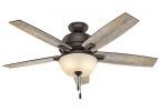 Hunter 53333 52-inch Donegan Onyx Bengal Ceiling Fan with Light