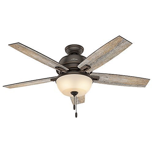Hunter 53333 52-inch Donegan Onyx Bengal Ceiling Fan with Light