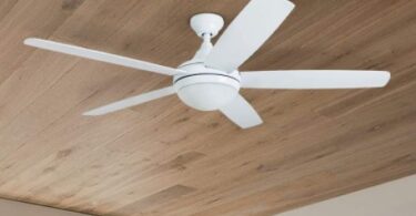 prominence home ceiling fans