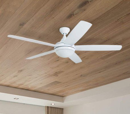 prominence home ceiling fans