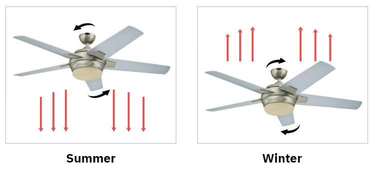 summer and winter movement