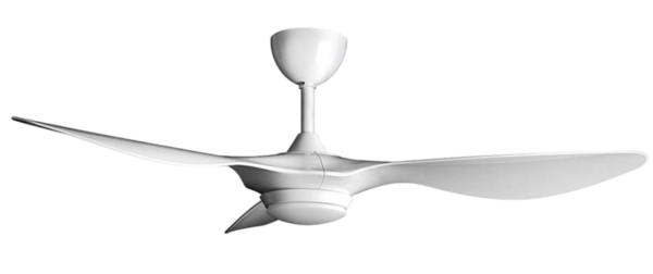 Reiga 52-Inch Ceiling Fan